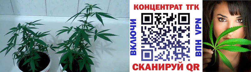 ссылка на мегу ссылки  Нелидово  ТГК THC oil 