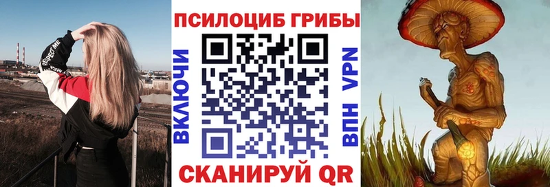 кракен tor  Нелидово  Псилоцибиновые грибы Cubensis 
